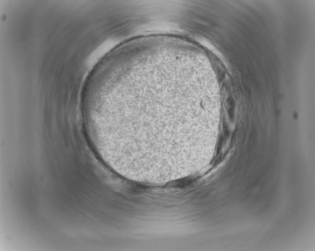 X0000070831469200607142328