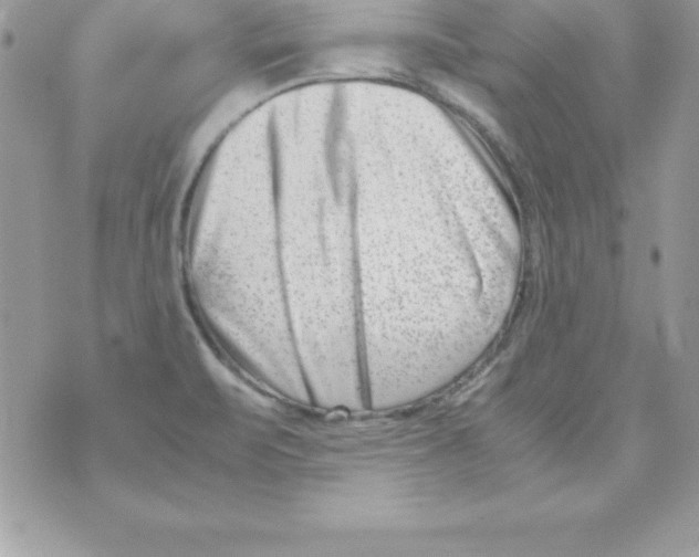 X0000070831471200607142328