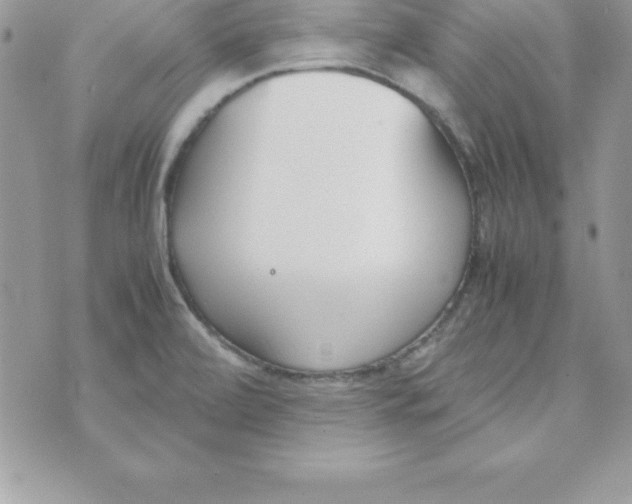 X0000070831472200607142328