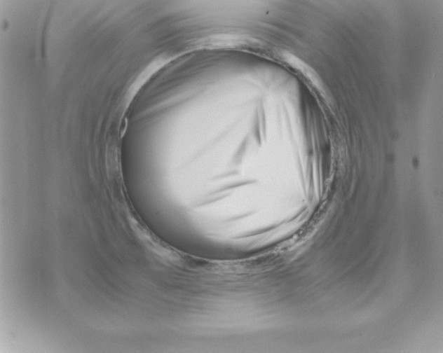 X0000070831473200607142328