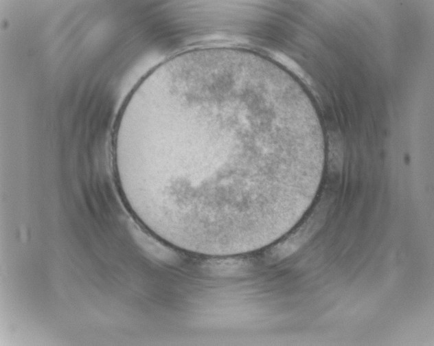 X0000070831474200607142328