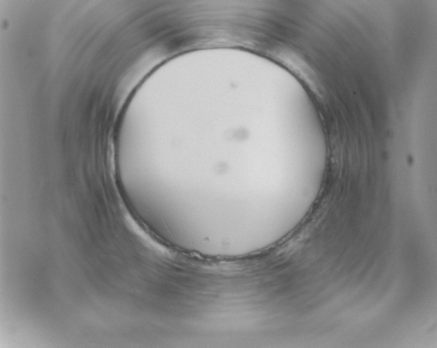 X0000070831476200607142328