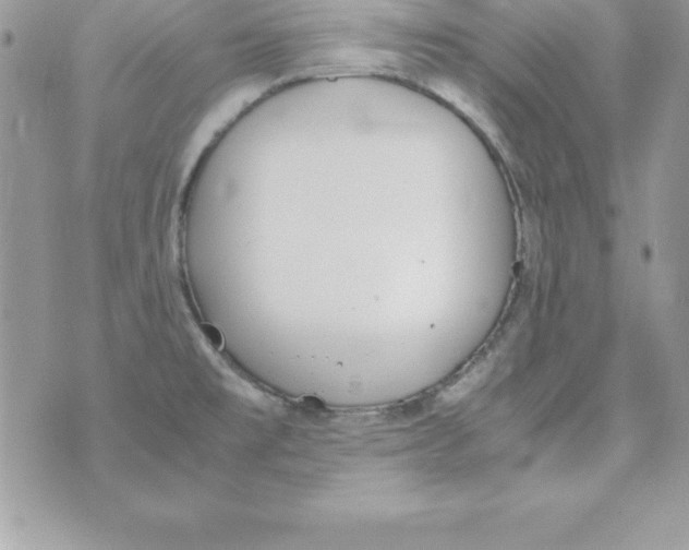 X0000070831477200607142328