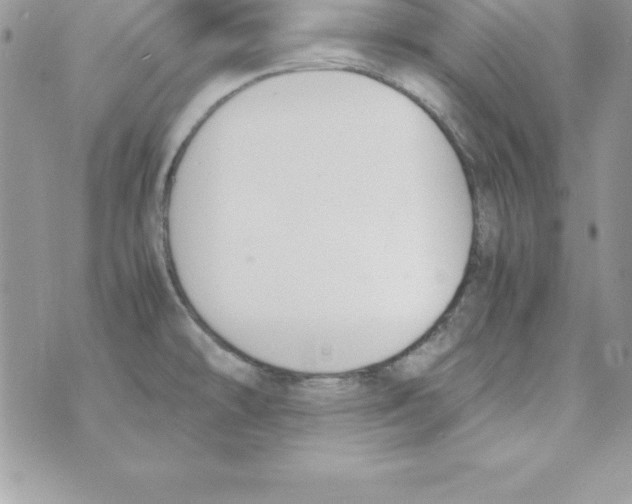 X0000070831478200607142328