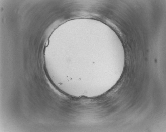 X0000070831479200607142328