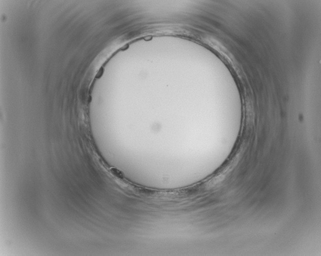 X0000070831481200607142328