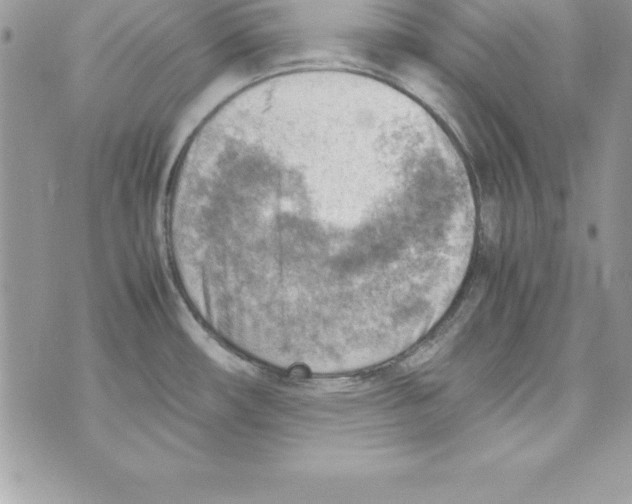 X0000070831482200607142328