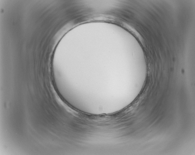 X0000070831483200607142328