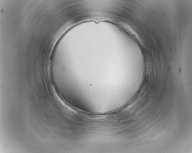 X0000070831484200607142328