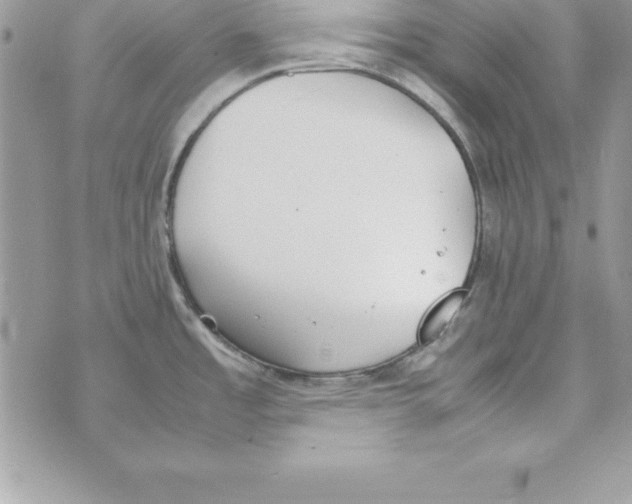 X0000070831485200607142328