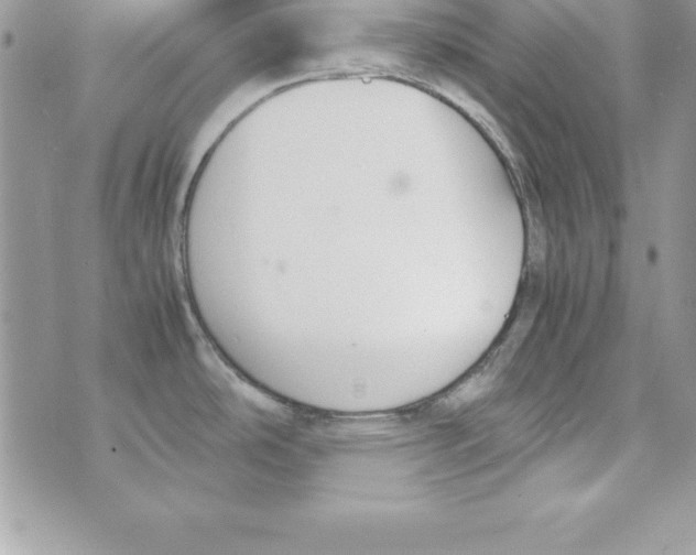 X0000070831486200607142328