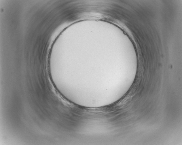 X0000070831488200607142328