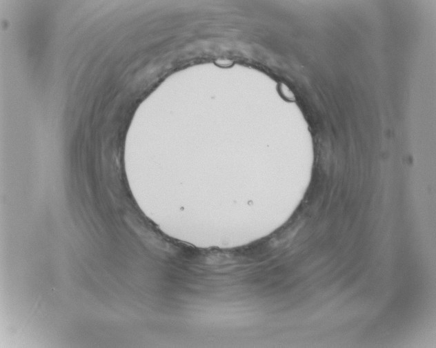 X0000070831489200607142327