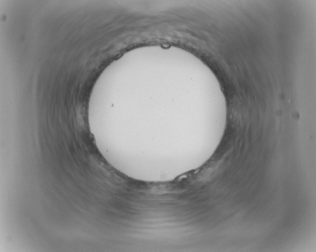 X0000070831490200607142327