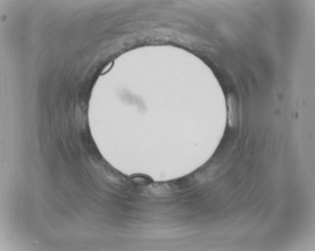 X0000070831491200607142327