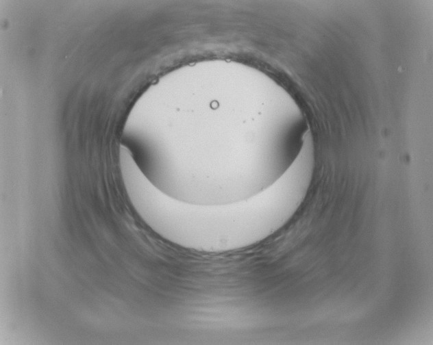 X0000070831492200607142327