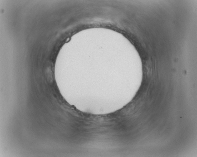 X0000070831493200607142327