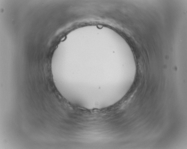 X0000070831494200607142327