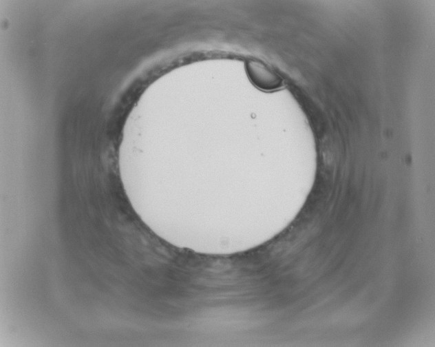 X0000070831495200607142327