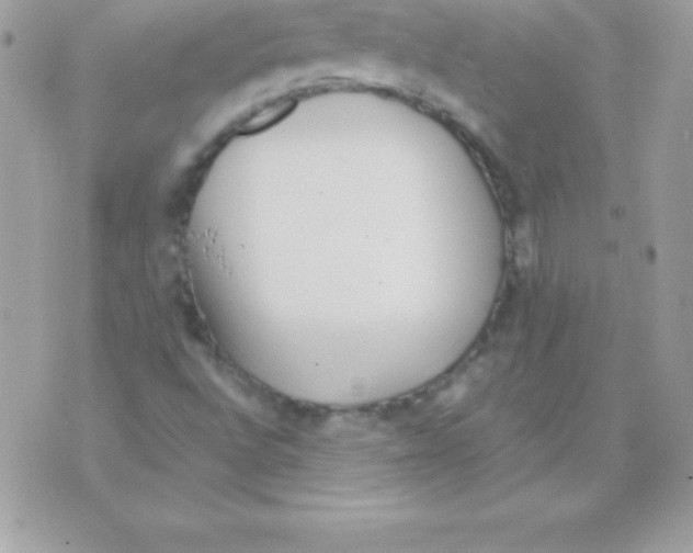 X0000070831496200607142327