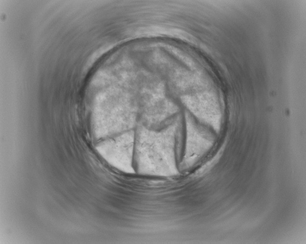 X0000070831497200607142327