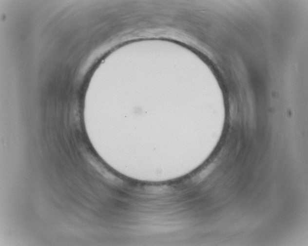 X0000070831498200607142328