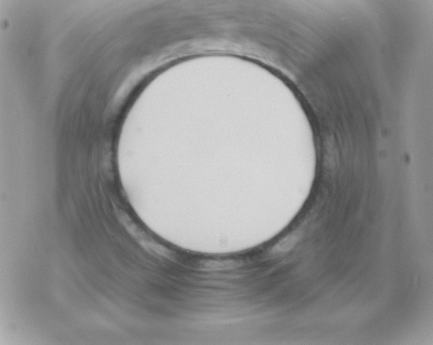 X0000070831499200607142328