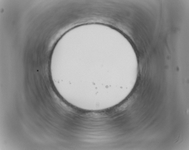 X0000070831500200607142328