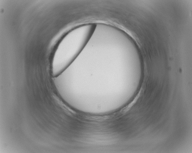 X0000070831502200607142328