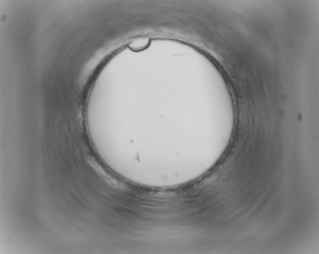 X0000070831503200607142328