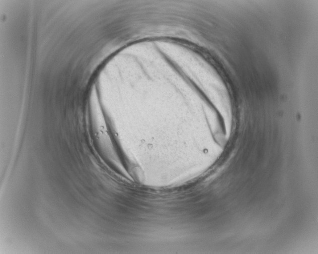 X0000070831505200607142328