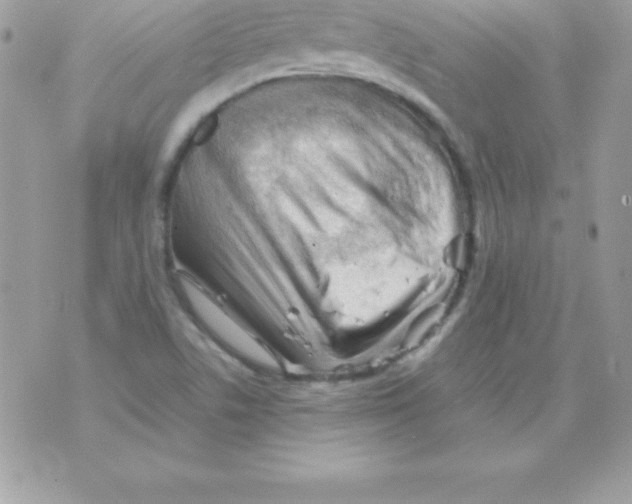 X0000070831506200607142328