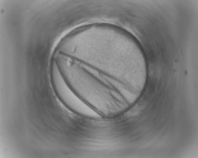 X0000070831508200607142328