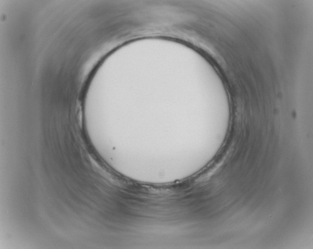 X0000070831509200607142328