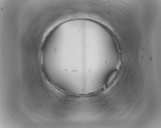 X0000070831510200607142328