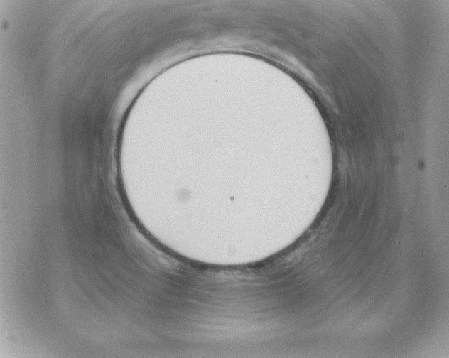 X0000070831512200607142328