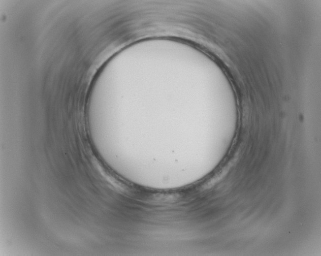 X0000070831513200607142328