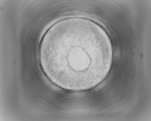 X0000070831514200607142328