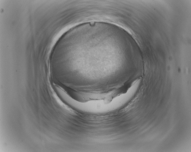 X0000070831515200607142328