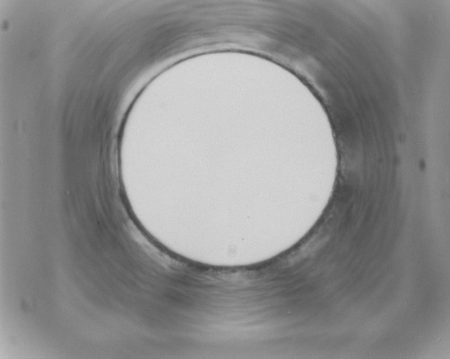 X0000070831516200607142328