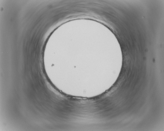 X0000070831518200607142328