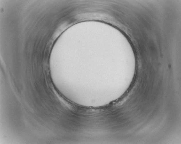 X0000070831521200607142328