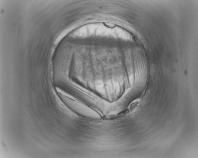 X0000070831522200607142328