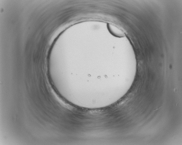 X0000070831523200607142328