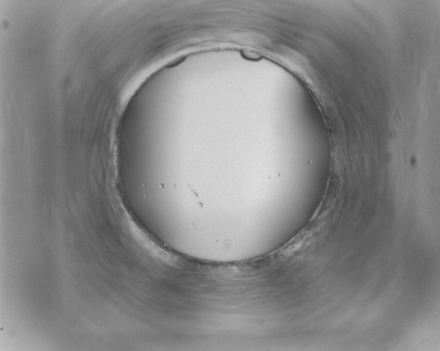 X0000070831524200607142328