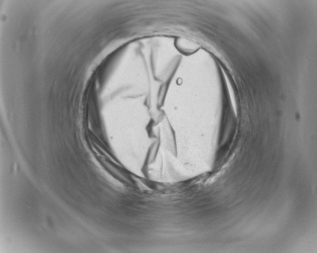 X0000070831525200607142328