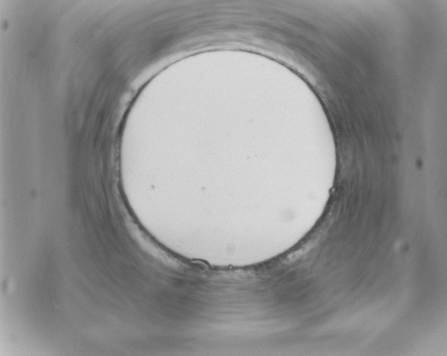 X0000070831526200607142328