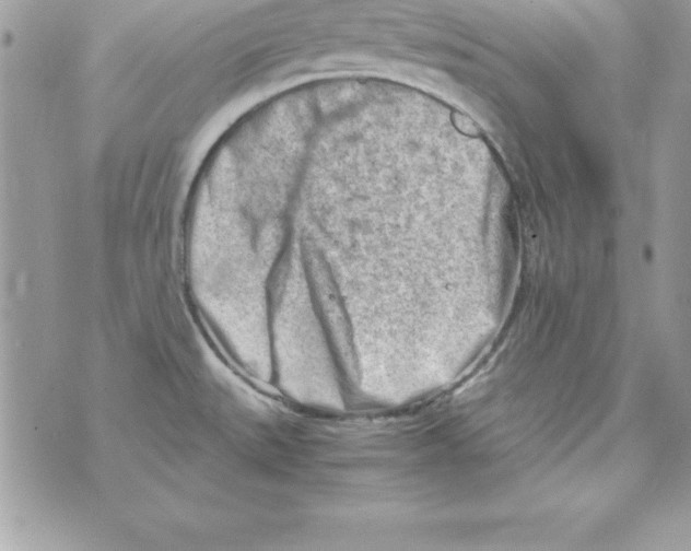 X0000070831527200607142328