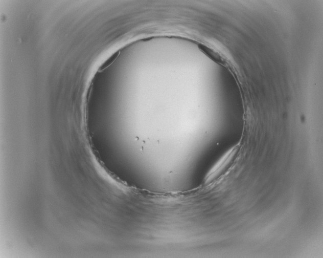 X0000070831528200607142328