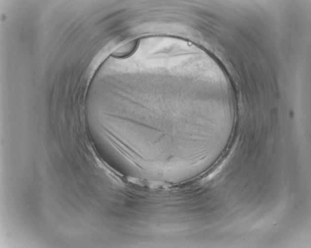 X0000070831529200607142328